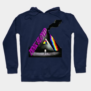 pink floyd t shirt Hoodie